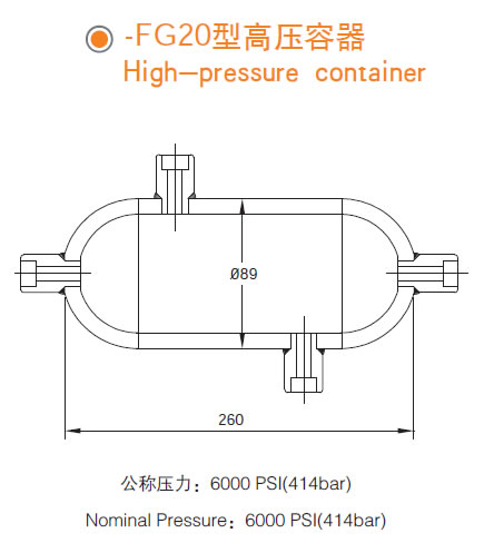 FG20�Ǳ���������
