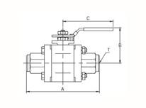 QFT13-CHF�ͳв庸�Լ���